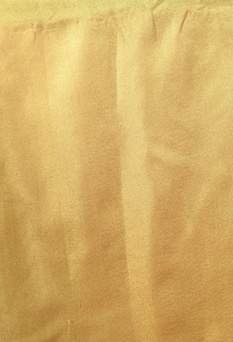 Orange Tissue linen Saree With Golden Zari Border - Swapna Creation