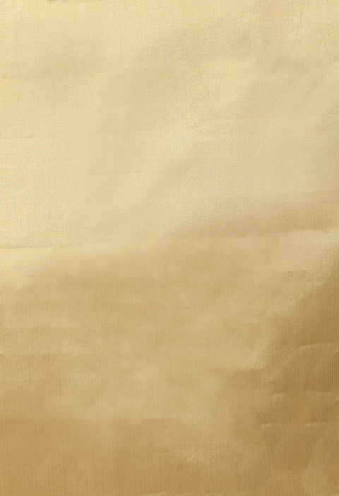 Tissue Silk Saree with Jacquard Antique Design - Yellow Gold